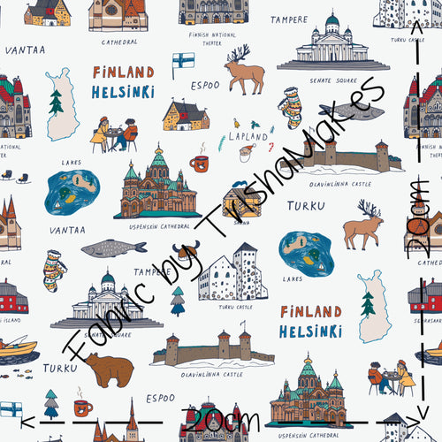 THEME ROUND 11 - Finland