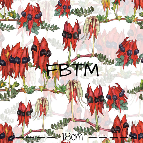 ROUND 32 - EXCLUSIVE Sturts Desert Pea