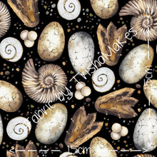 Load image into Gallery viewer, THEME ROUND 12 - Fossils