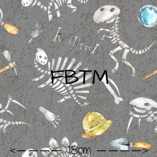 ROUND 31 - Fossil Hunters