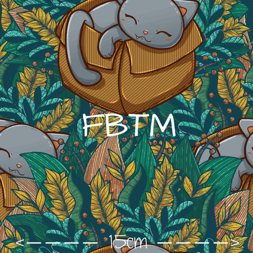 ROUND 34 - Kitty In A Box