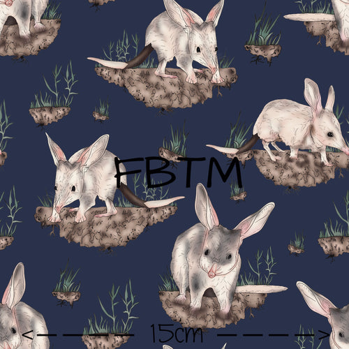 EXTRA - Exclusive Billie Bilby on Navy