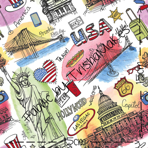 THEME ROUND 11 - America