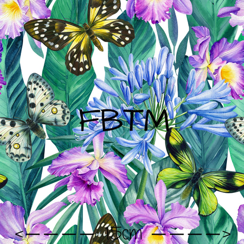 ROUND 33 - Butterfly Tropics