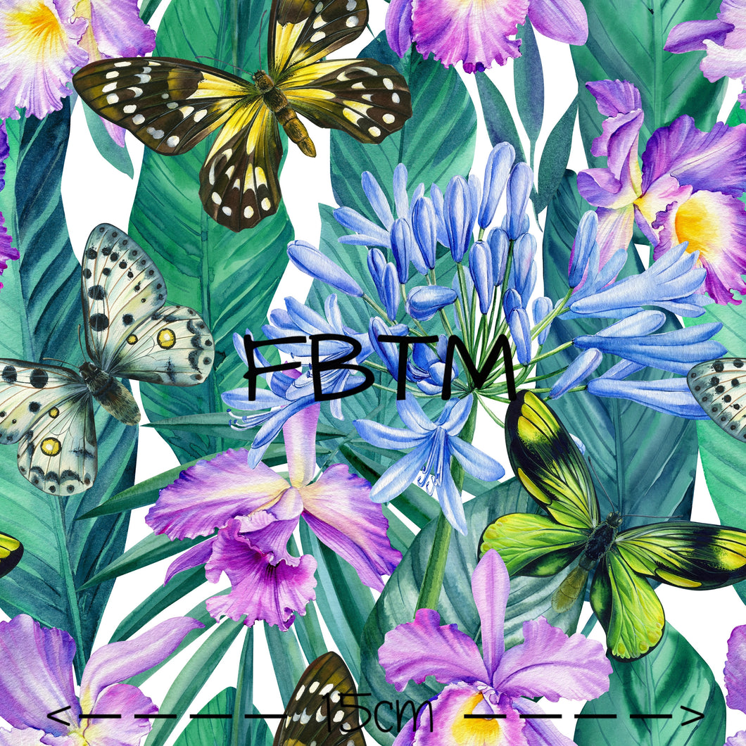 ROUND 33 - Butterfly Tropics