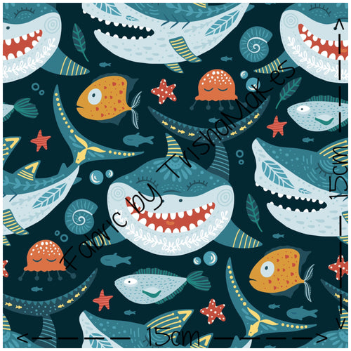 ROUND 6 - Happy Shark