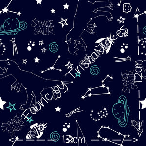 THEME ROUND 12 - Spacesaur