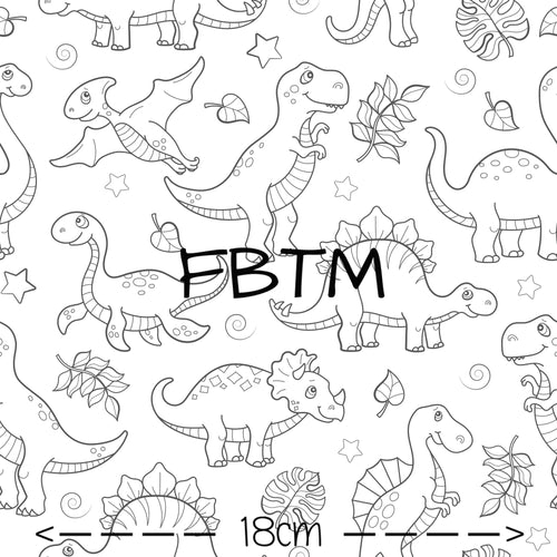 THEME ROUND 19 - Colour In Dino’s