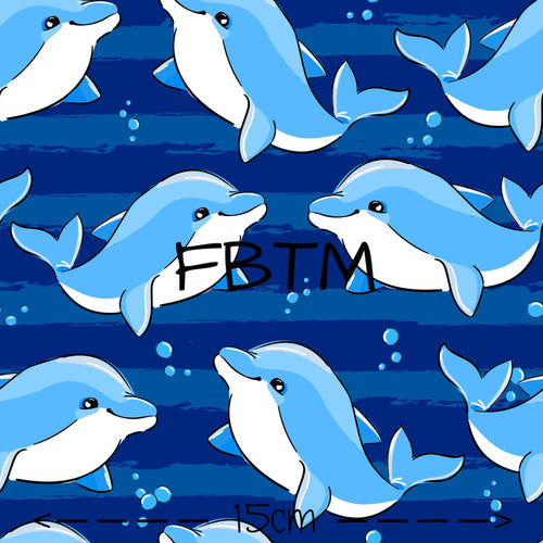 THEME ROUND 20 - Dolphin Days