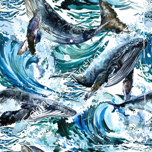 EXTRAS - Whale of a Time