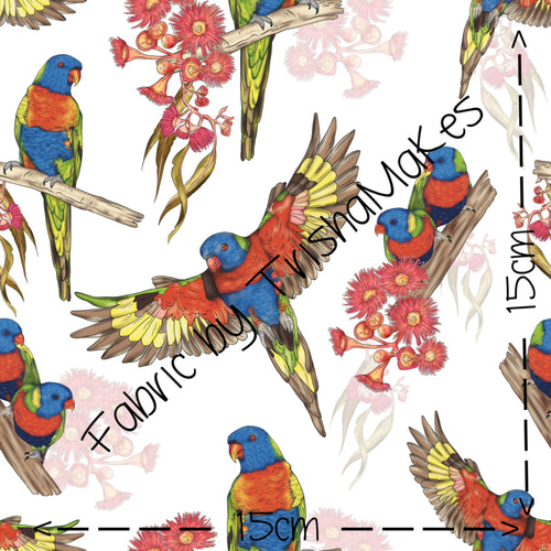 ROUND 19 - Lorrie Lorikeet (Exclusive)