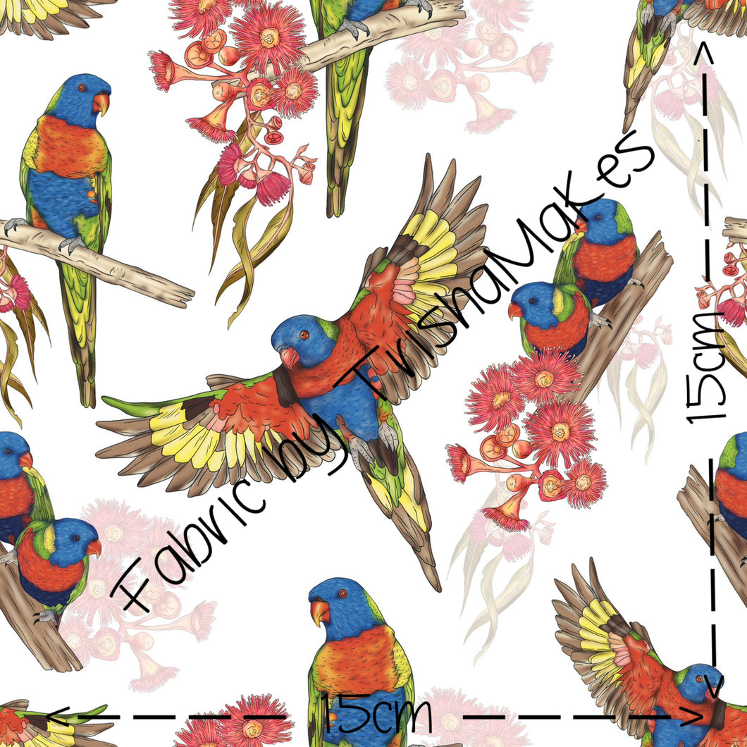 ROUND 19 - Lorrie Lorikeet (Exclusive)