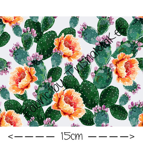 ROUND 22 - Pretty Prickles