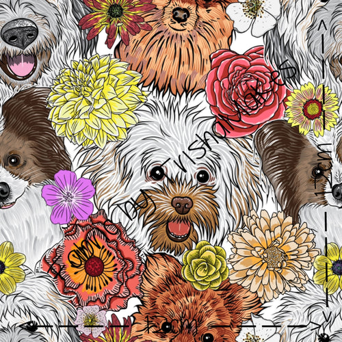 ROUND 15 - Puppy Pals