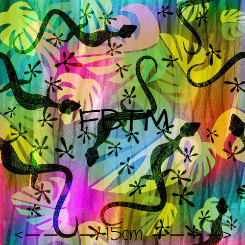 ROUND 29 - Gecko’s