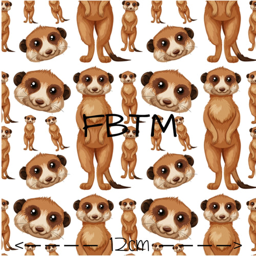 THEME ROUND 20 - Meerkat Mates