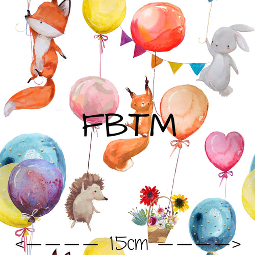 THEME ROUND 20 - Balloon Babies