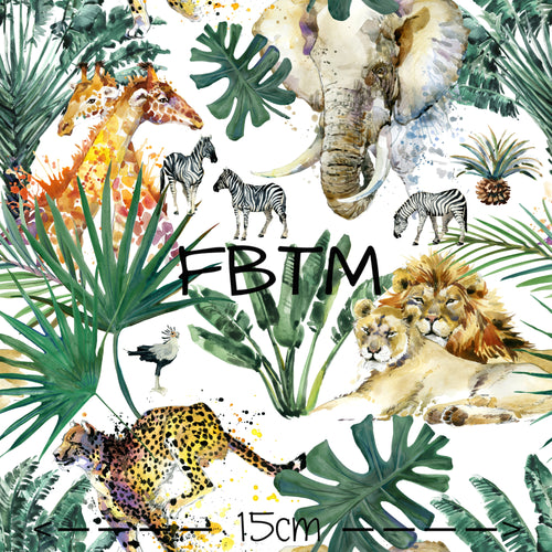 ROUND 25 - Safari Days