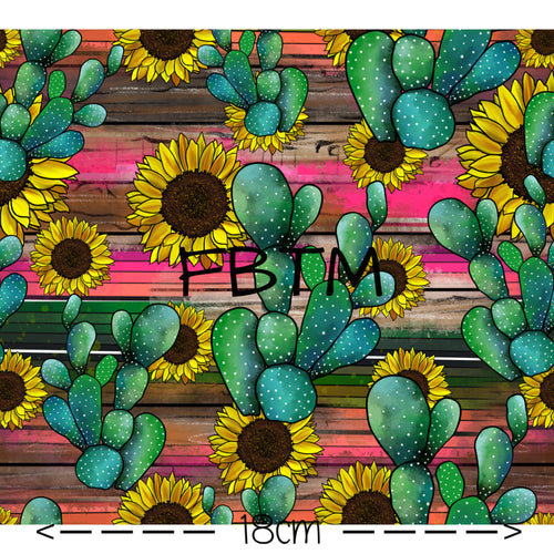 ROUND 31 - Sunny Cacti