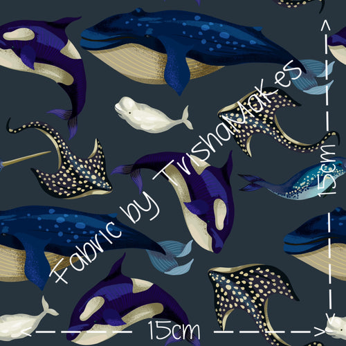 THEME ROUND 7 - Down in the Deep