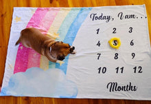 Load image into Gallery viewer, ROUND 19 - Rainbow Milestone Panel