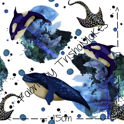 THEME ROUND 7 - Orca-stra