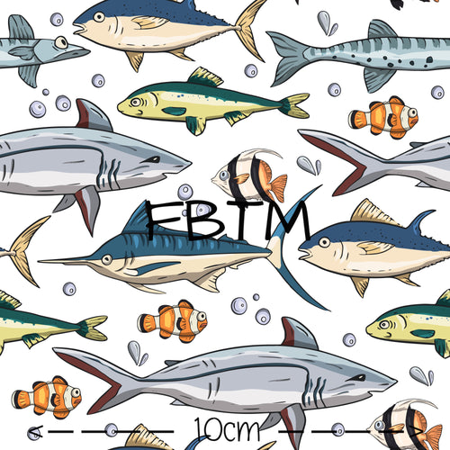 THEME ROUND 18 - The Fins