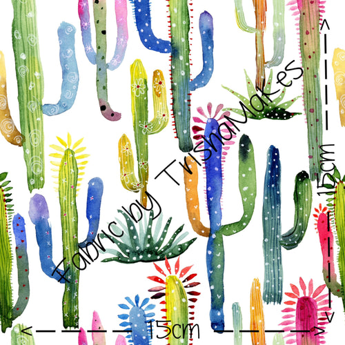 ROUND 19 - Coloured Cacti