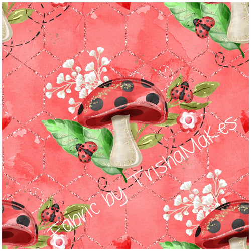 ROUND 1 - Mushrooms & Lady Bugs