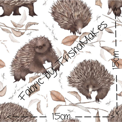ROUND 17 - Exclusive Eddie the Echidna