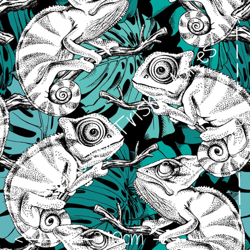 ROUND 21 - Cuddly Chameleon