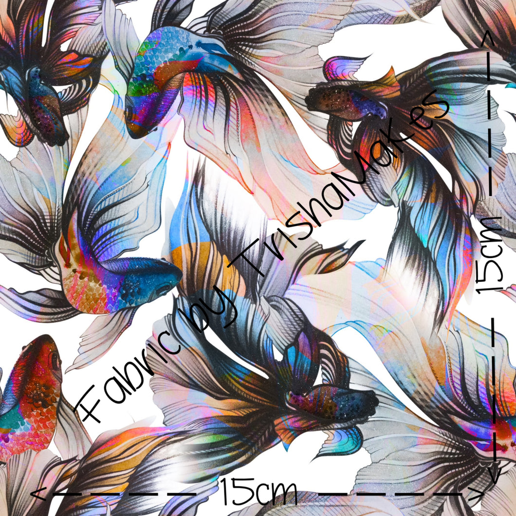 ROUND 12 - Rainbow Fish