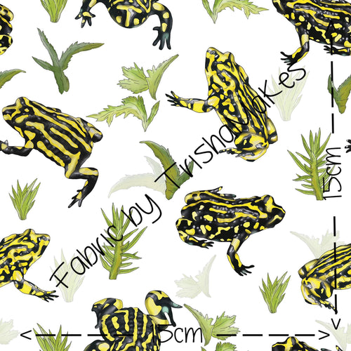 THEME RND 16 - EXCLUSIVE Cobba the Corroboree Frog