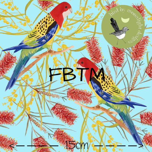 ROUND 31 - Exclusive Rosella’s on Blue