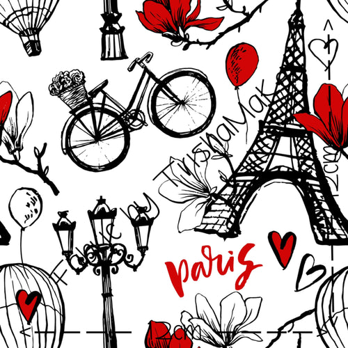 THEME ROUND 11 - Paris (Monochrome)