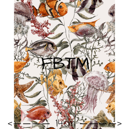 ROUND 30 - Snorkel Vision