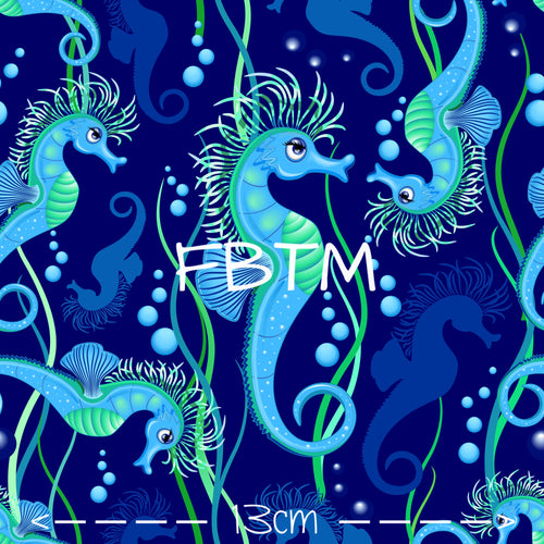 ROUND 34 - Sully the Seahorse