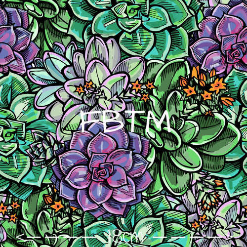 ROUND 31 - Succulents