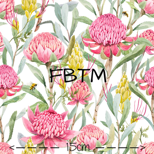 ROUND 25 - Perfect Proteas