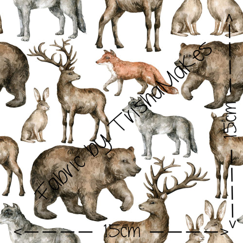 THEME ROUND 15 - Wild Wonders