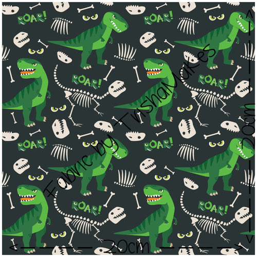 THEME ROUND 12 - Roar Dinosaur