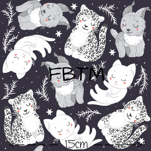 THEME ROUND 20 - Snow Babies