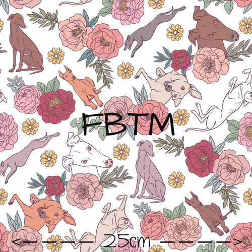 ROUND 28 - Greyhounds