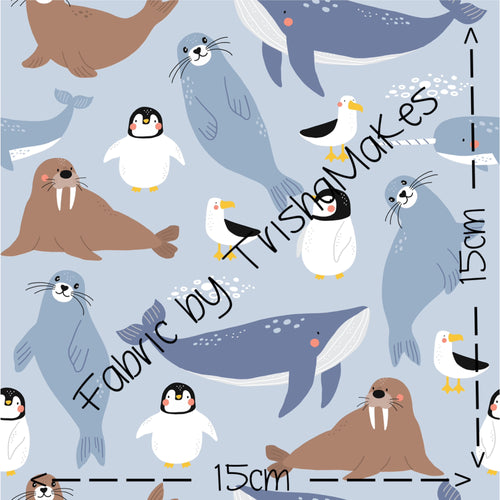 THEME ROUND 11 - Antartica