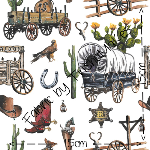 THEME ROUND 11 - Texas