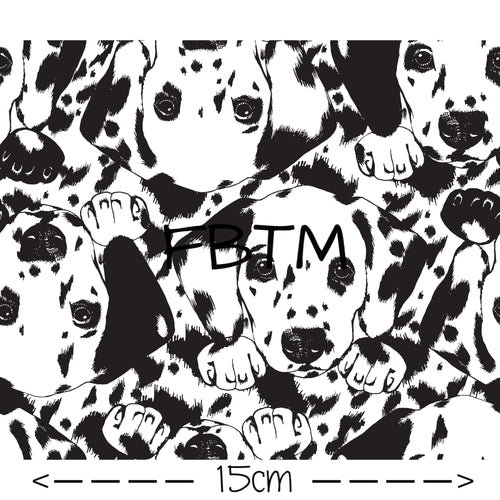 THEME ROUND 19 - Dalmatian’s