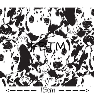 THEME ROUND 19 - Dalmatian’s