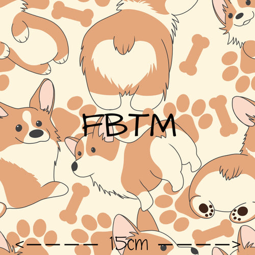 THEME ROUND 20 - Cute Corgi