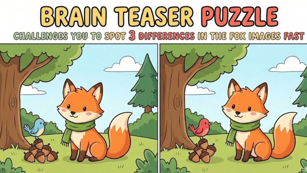 Brain Teaser Puzzle Challenges