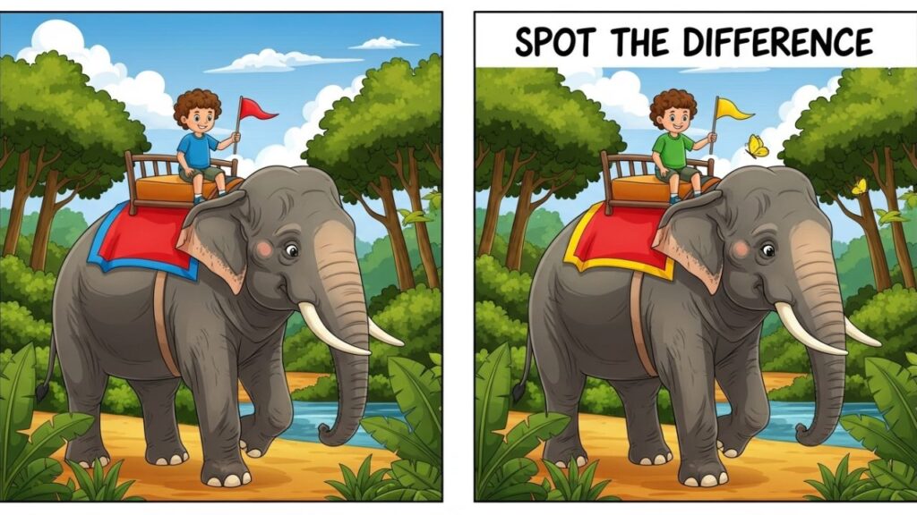 Spot the Difference Puzzle